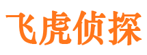 双桥区侦探社